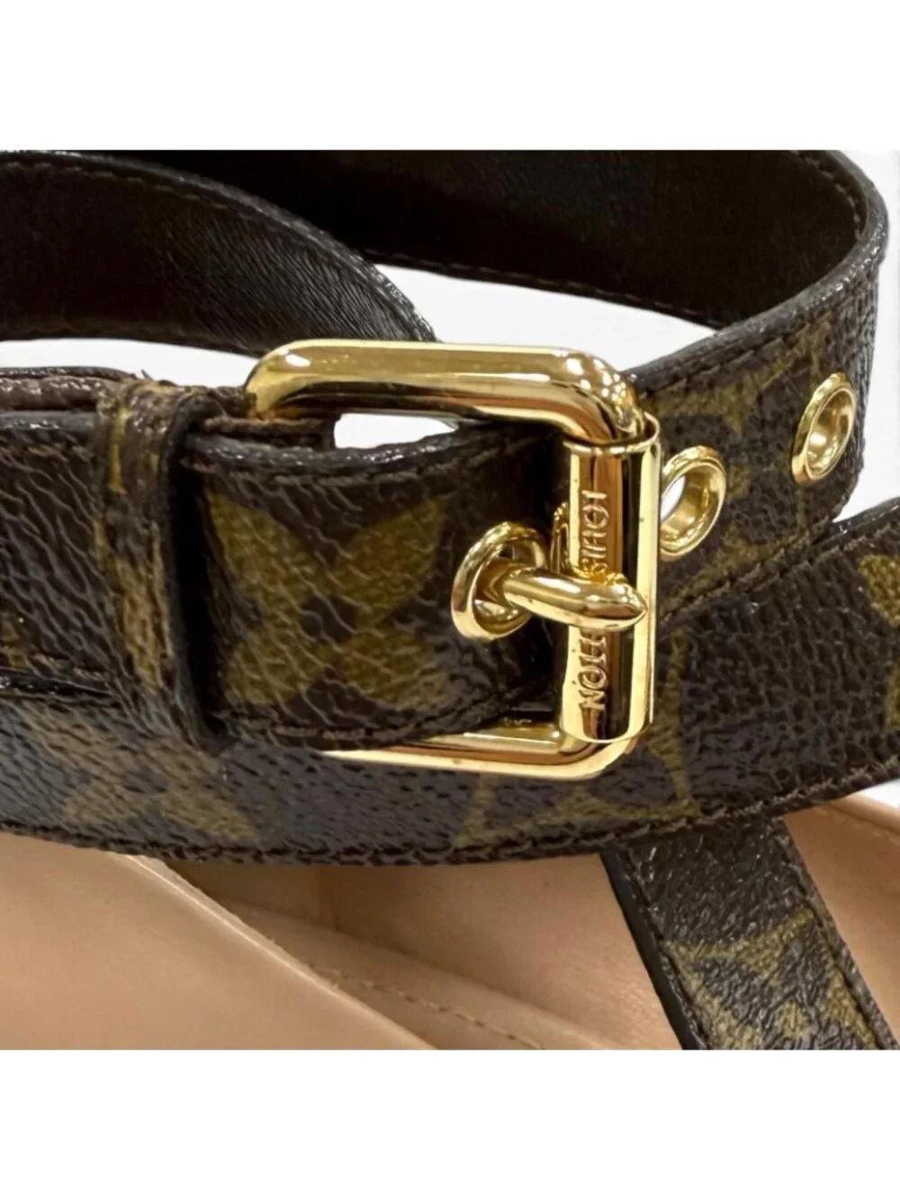 Louis Vuitton brand louis